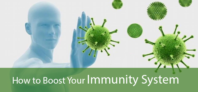 Immunity System