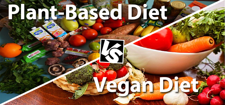 Plant-Based and Vegan Diet