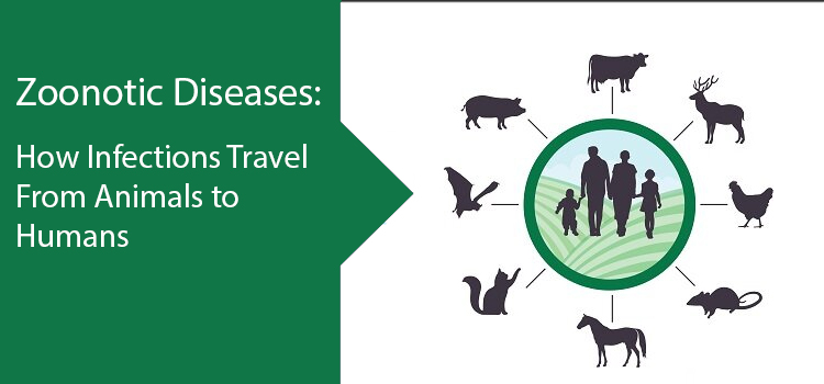 Zoonotic Diseases