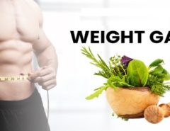 what is the best supplement for weight gain